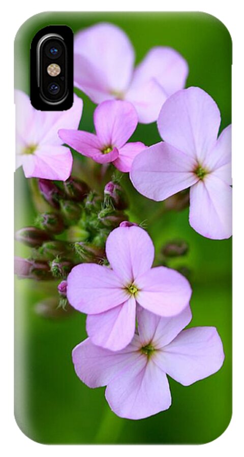 Wildflowers iPhone X Case featuring the photograph Wildflowers by Tracy Male