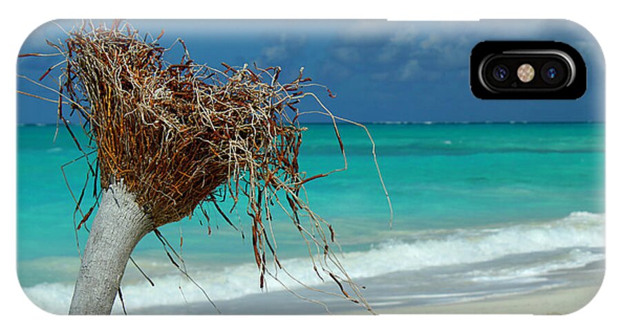 Turks And Caicos iPhone X Case featuring the photograph Wilson Upclose by Robyn Saunders