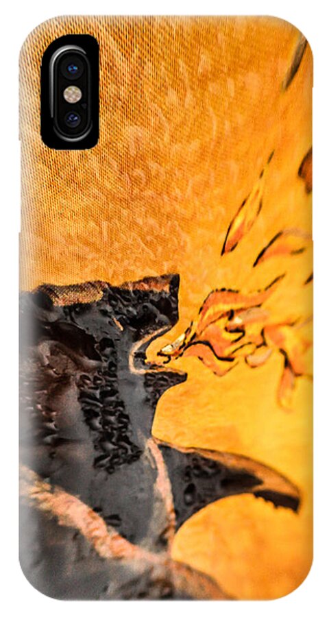 Wine Label iPhone X Case featuring the photograph Wine Label by Mitch Shindelbower