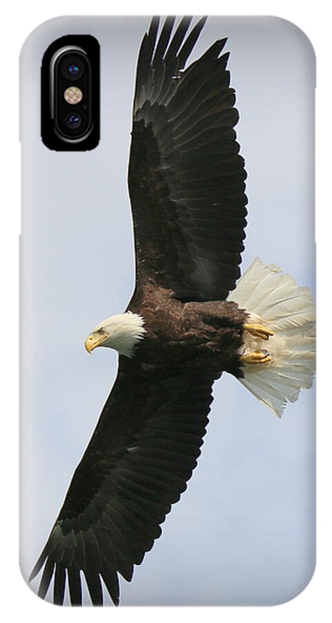 Eagle iPhone X Case featuring the photograph Wings by Ryan Smith