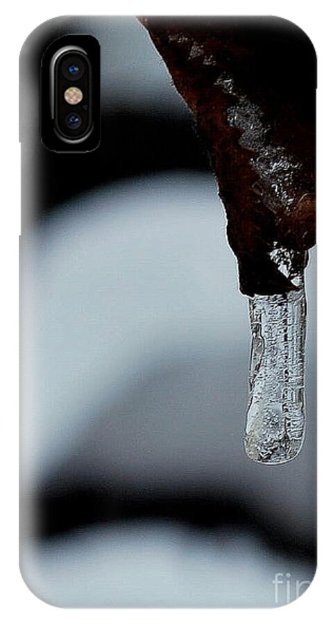 Nature iPhone X Case featuring the photograph Winter jewel by Marija Djedovic