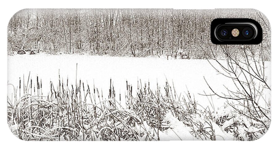 Winter iPhone X Case featuring the photograph Winter Pond by Lynn Hansen