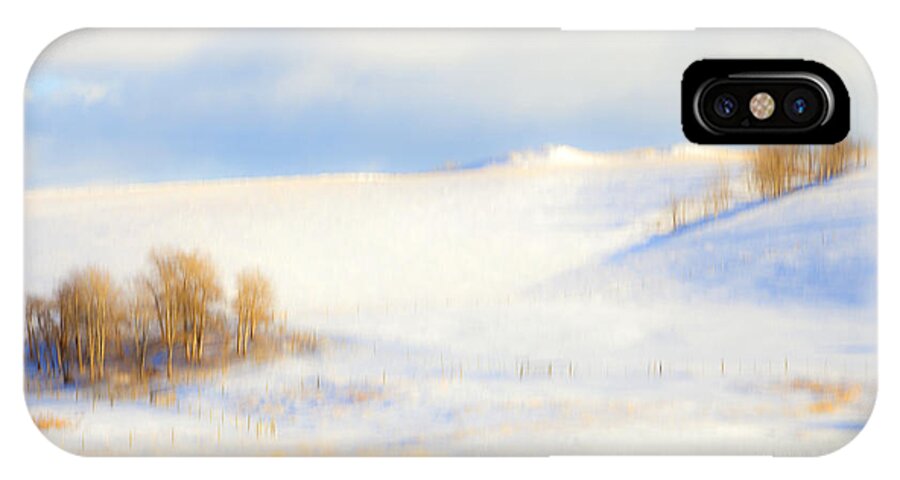 Winter iPhone X Case featuring the photograph Winter Poplars by Theresa Tahara