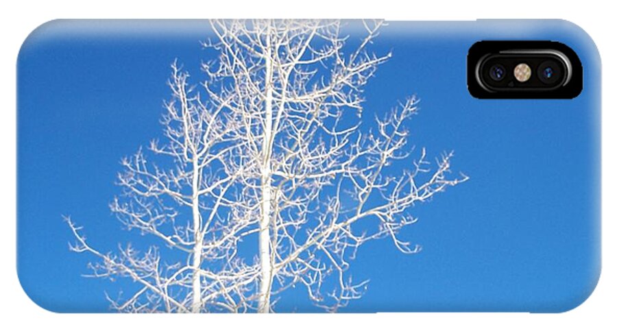 Sky iPhone X Case featuring the photograph Winter Sky by Claudia Goodell