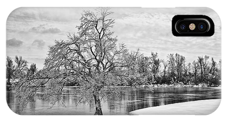Winter Tree At The Park B/w iPhone X Case featuring the photograph Winter Tree at the Park b/w by Greg Jackson