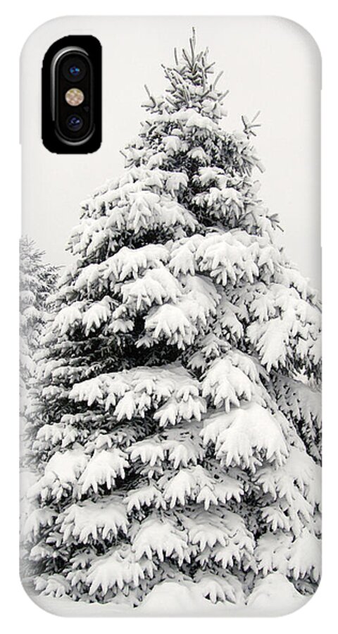 Fir Tree iPhone X Case featuring the photograph Winter Tree by Wesley Elsberry