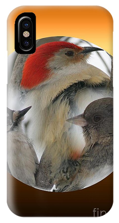 Birds iPhone X Case featuring the photograph Winter Trio by Rick Rauzi