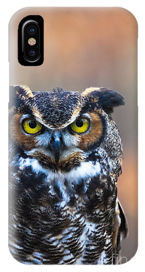Owl iPhone X Case featuring the photograph Wise Guy by Geri Glavis