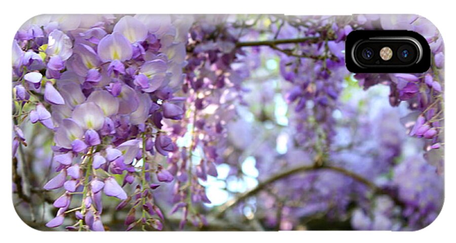 Cathy Dee Janes iPhone X Case featuring the photograph Wisteria Dream by Cathy Dee Janes