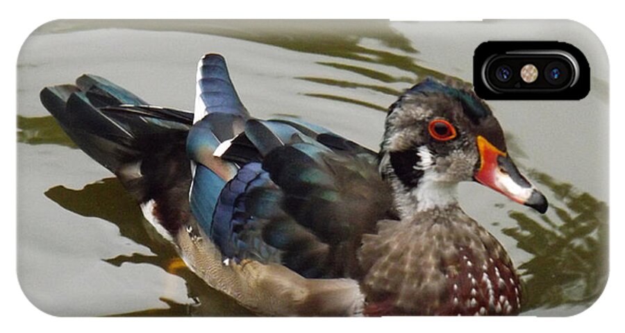 Duck iPhone X Case featuring the photograph Wood Duck by Brenda Brown