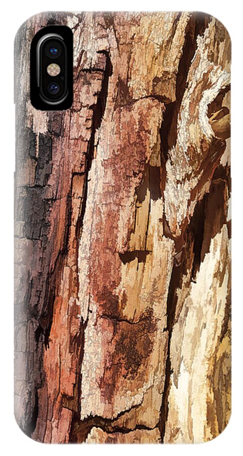 Tree iPhone X Case featuring the photograph Wood Tones by Jerry Nettik