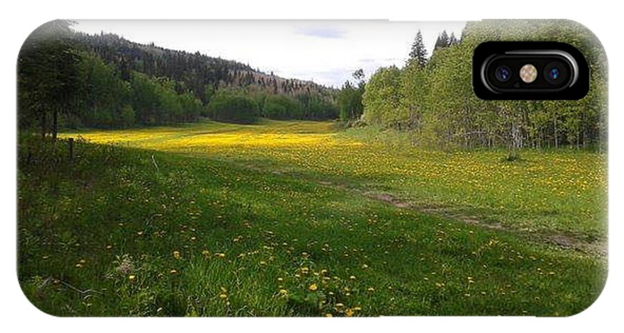 Meadow iPhone X Case featuring the photograph Yellow Meadow by Vivian Martin