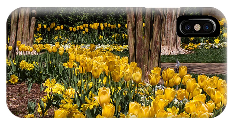 Cheekwood iPhone X Case featuring the photograph Yellow Tulip Pathway by Paula Ponath