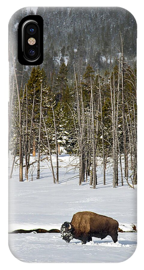 Yellowstone National Park iPhone X Case featuring the photograph Yellowstone Winter by Alan Toepfer