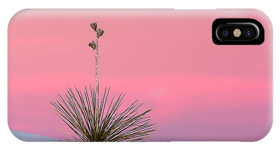 Colorado iPhone X Case featuring the photograph Yucca on Pink and White by Kristal Kraft