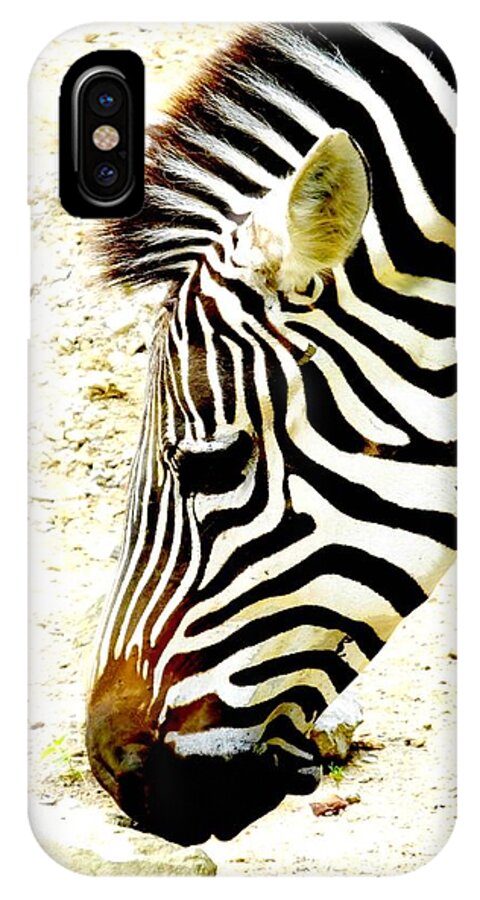 African Animal iPhone X Case featuring the digital art Zebra Mug Shot by Lizi Beard-Ward