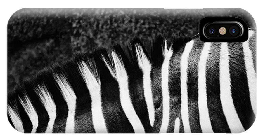 Nature iPhone X Case featuring the photograph Zebra Stripes by Joan Herwig