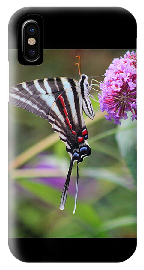 Zebra iPhone X Case featuring the photograph Zebra Swallowtail Butterfly on Butterfly Bush by Karen Adams
