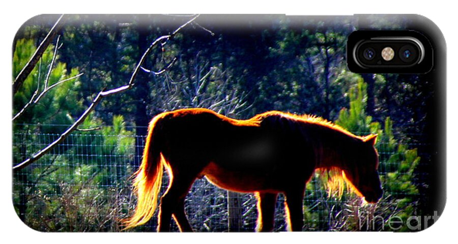 Horses iPhone X Case featuring the photograph Zuni In The Sunlight by Rabiah Seminole