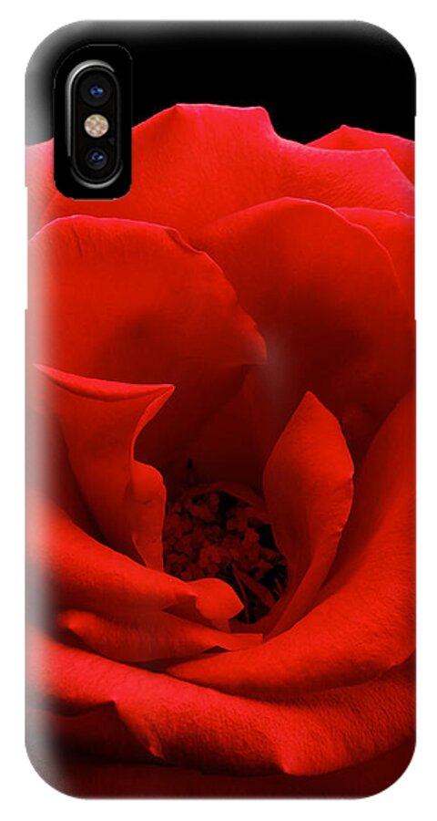 Perla Copernik iPhone X Case featuring the photograph Photograph of a Red Rose #2 by Perla Copernik