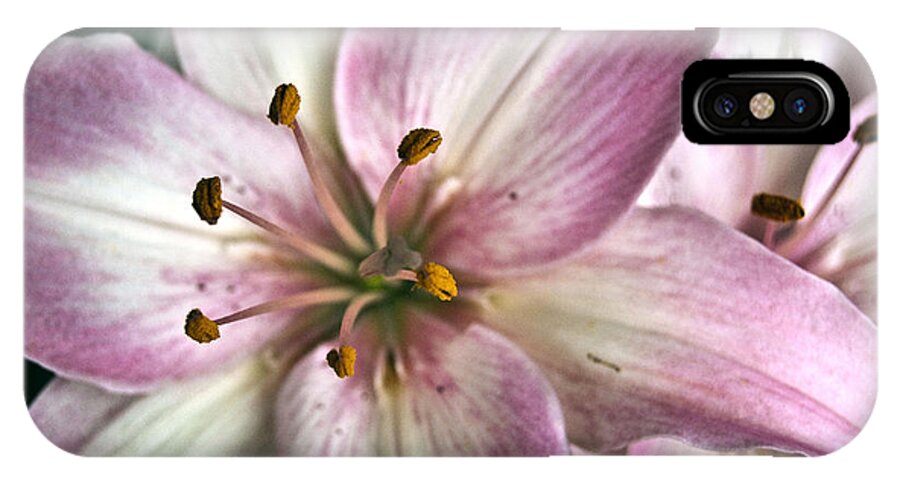 Agriculture iPhone X Case featuring the digital art Pink Asiatic Lily #1 by Danielle Summa