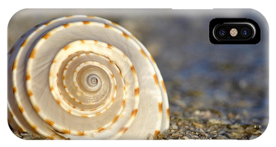 Seashells iPhone X Case featuring the photograph Resonance of the Sea #1 by Maria Nesbit