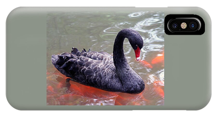 Swan iPhone X Case featuring the photograph Strike a Pose by Rebecca Samler