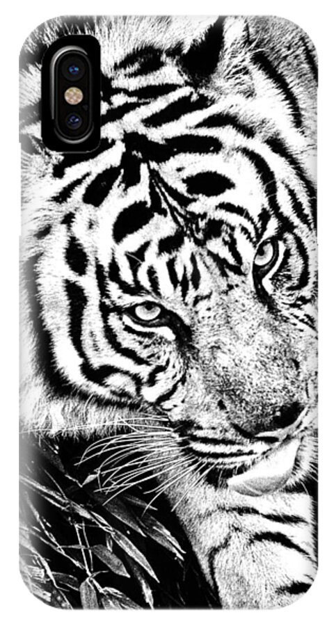 Tiger iPhone X Case featuring the photograph Tiger #2 by Perla Copernik