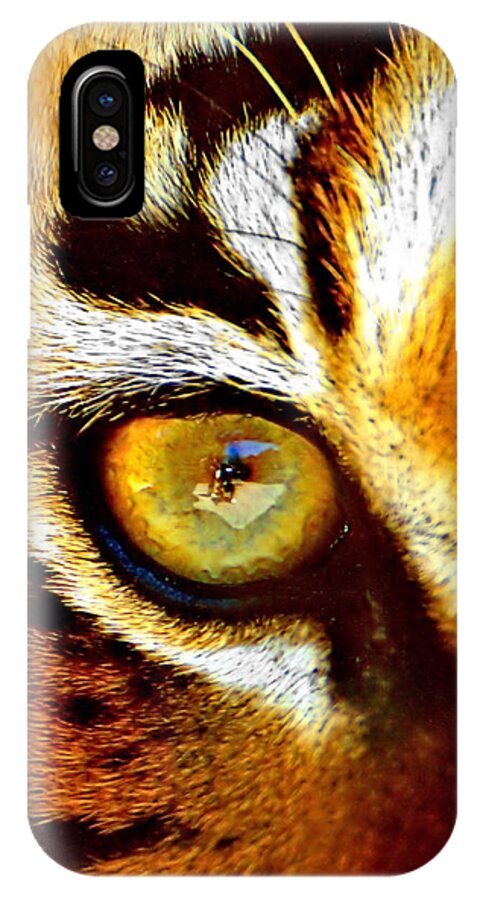 Tiger iPhone X Case featuring the photograph Tigers Eye #1 by Marlo Horne