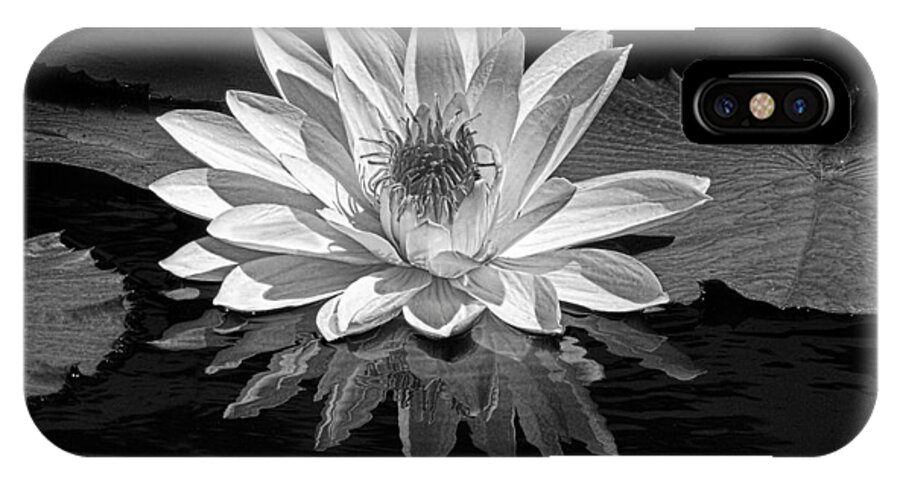 Waterlily iPhone X Case featuring the photograph Waterlily and Reflection #2 by Dave Mills
