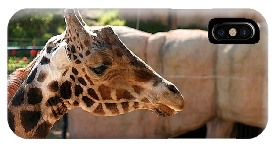 Africa iPhone X Case featuring the photograph Baringo Giraffe #8 by Henrik Lehnerer