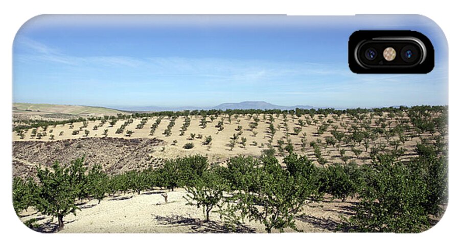 Prunus Dulcis iPhone X Case featuring the photograph Almond Plantation by Carlos Dominguez