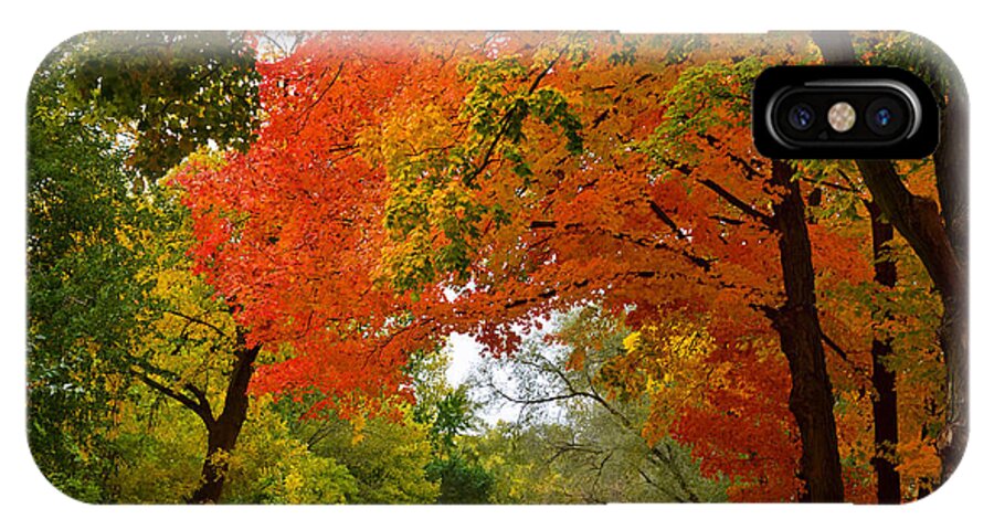 Color Photography iPhone X Case featuring the photograph Autumn Canopy by Sue Stefanowicz