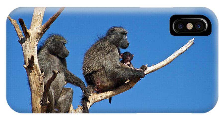 Baboon iPhone X Case featuring the photograph Baboon Family Namibia by David Kleinsasser