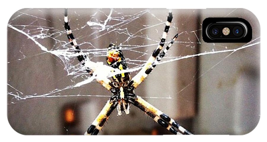  iPhone X Case featuring the photograph Banana Spider by Dana Coplin