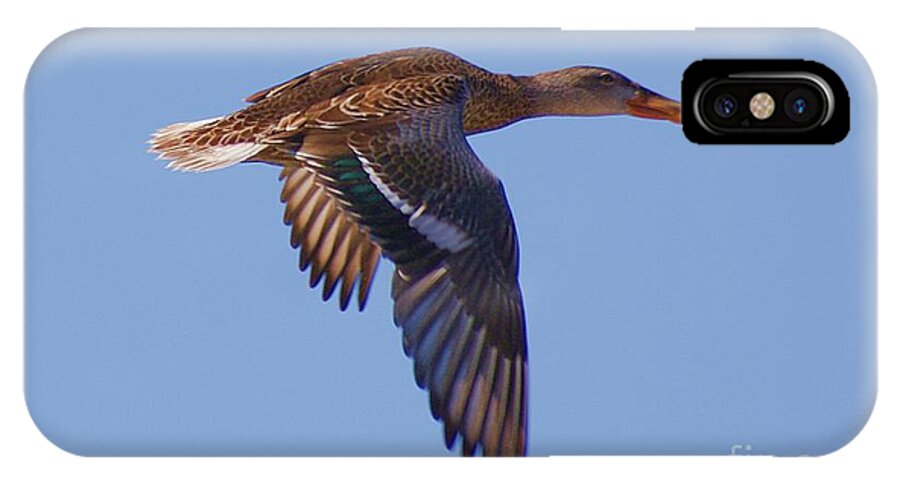 Duck iPhone X Case featuring the digital art Beautiful Duck Flying by John Kolenberg