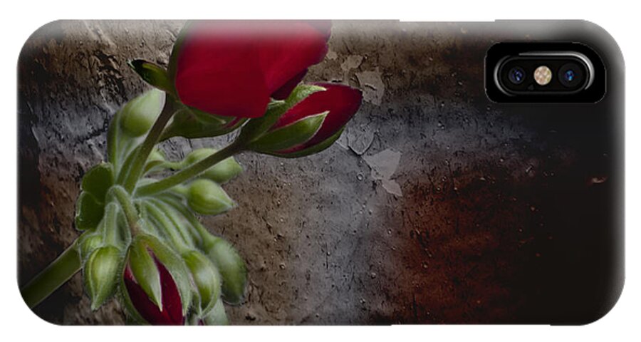 Beauty And The Beast iPhone X Case featuring the photograph Beauty and the Beast by Robin Webster