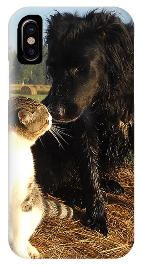 Cat iPhone X Case featuring the photograph Best Buddies Portrait by Kent Lorentzen