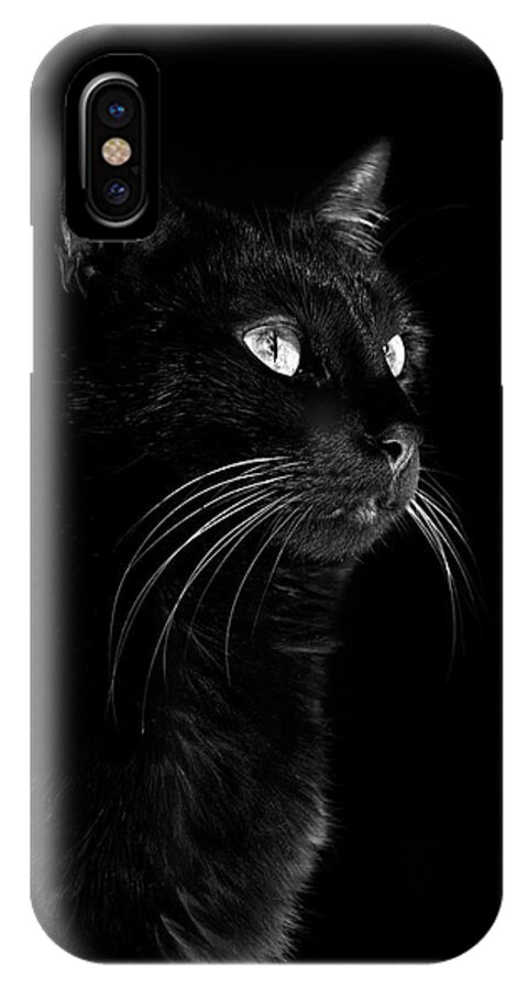 Cat iPhone X Case featuring the photograph Black portrait by Raffaella Lunelli
