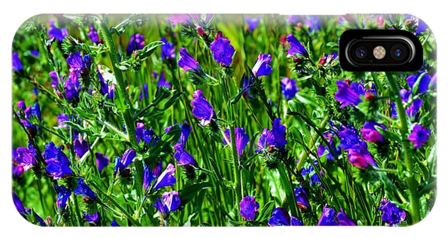 Close Up; Beautiful; Blue; Wild Flowers; Floral; Flower; Rural; Meadow; Grass; Sunshine; Spring; Wind; Blossoming; Decorative; Background; iPhone X Case featuring the photograph Blue Wild Flowers by Werner Lehmann