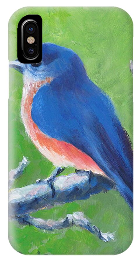 Bird iPhone X Case featuring the painting Bluebird in Spring by Pamela Poole