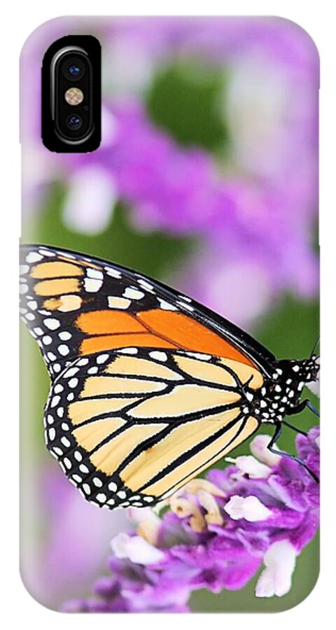 Butterfly iPhone X Case featuring the photograph Butterfly Beauty by Elizabeth Budd