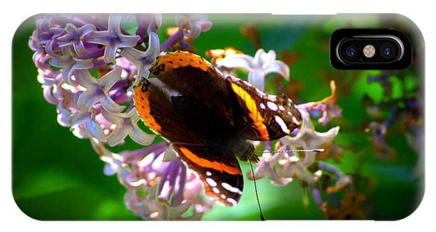 Brown iPhone X Case featuring the photograph Butterfly on Lilac by Kevin Fortier