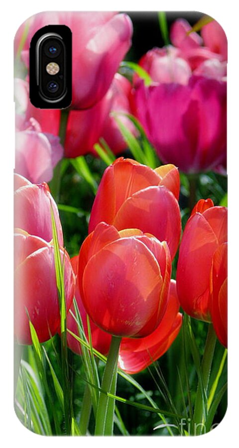Tulips iPhone X Case featuring the photograph Celebration by Rory Siegel
