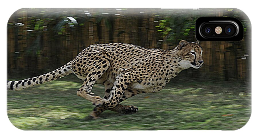 Cheetah iPhone X Case featuring the photograph Cheetah Run by Keith Lovejoy