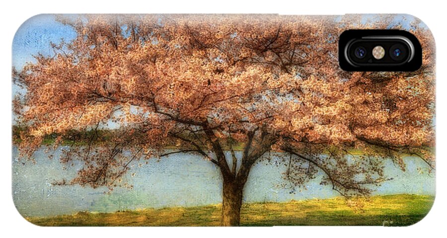 Cherry Tree iPhone X Case featuring the photograph Cherry Tree by Lois Bryan
