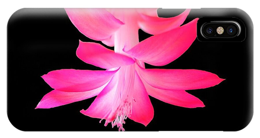 Flower iPhone X Case featuring the photograph Christmas Cactus by Steven Clipperton