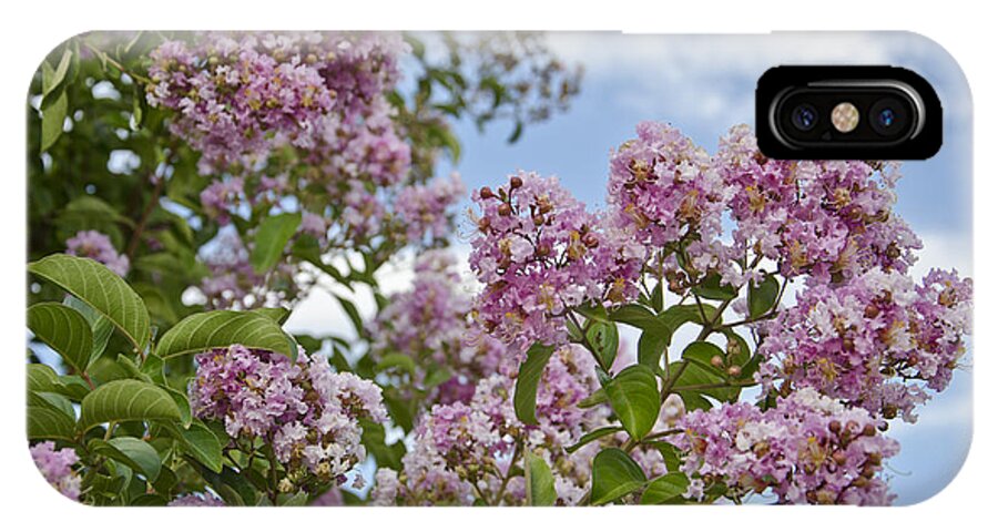 Crape Myrtle iPhone X Case featuring the photograph Clouds and Crape Myrtle by Jim And Emily Bush
