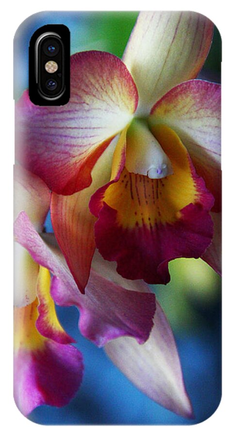 Orchid iPhone X Case featuring the photograph Colorful Orchids by Kerri Ligatich
