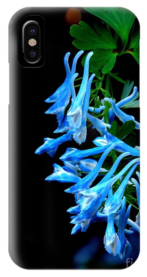 Corydalis iPhone X Case featuring the photograph Corydalis by Tatyana Searcy